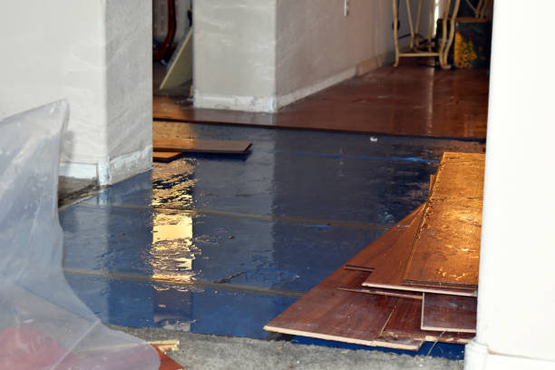 Professional Burst Pipe Cleanup technician working in Albertson, NC